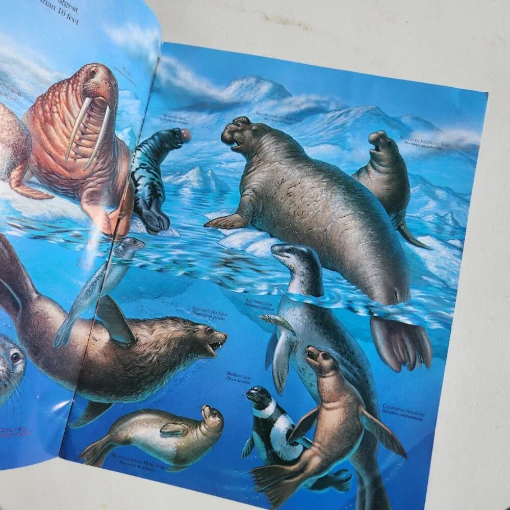 Seals Zoobooks Kids Magazine Vintage Children's Ranger Rick John Bonnett Wexo
